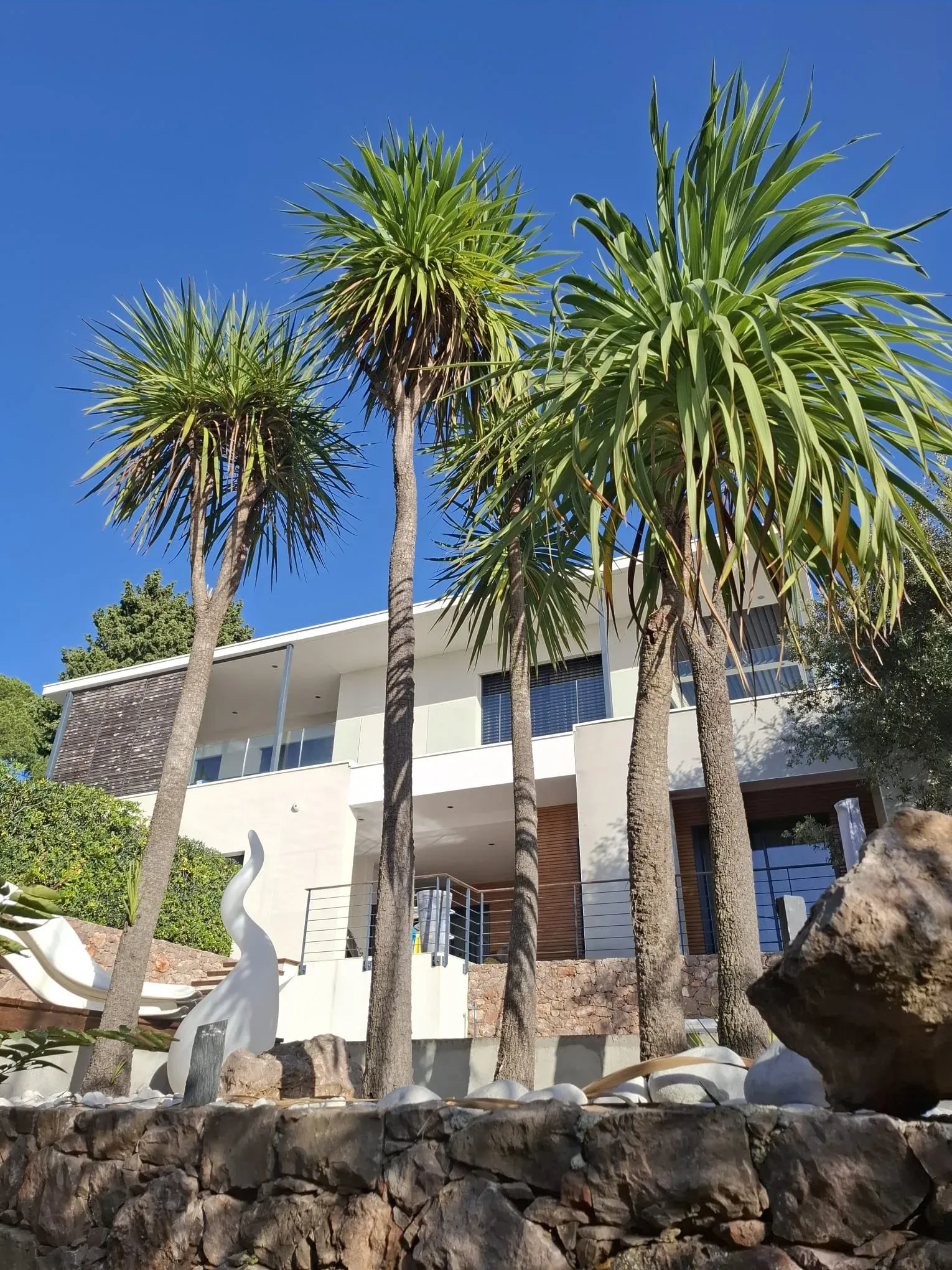 Entretien de palmiers, Agde