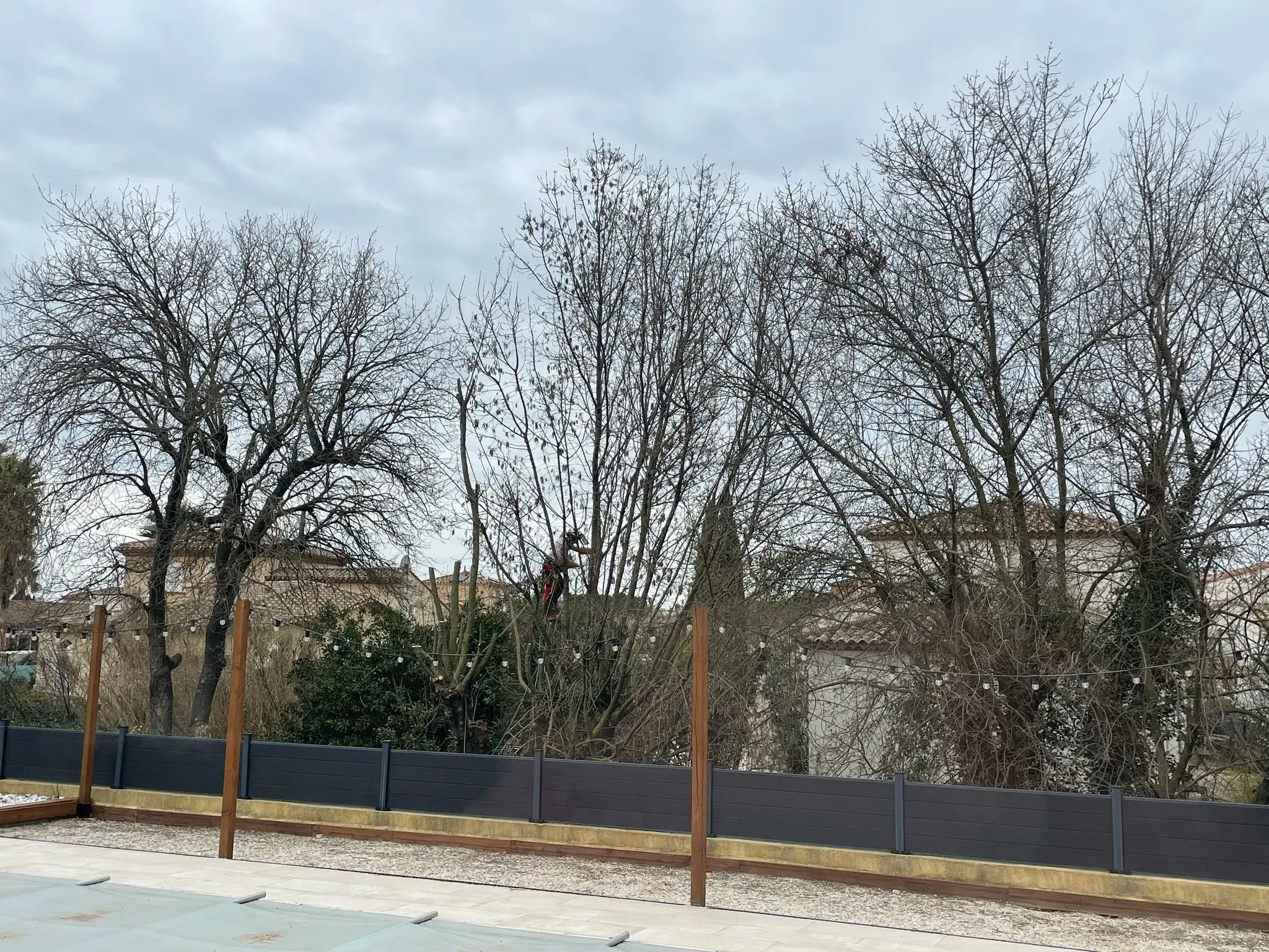 Élagage, Béziers