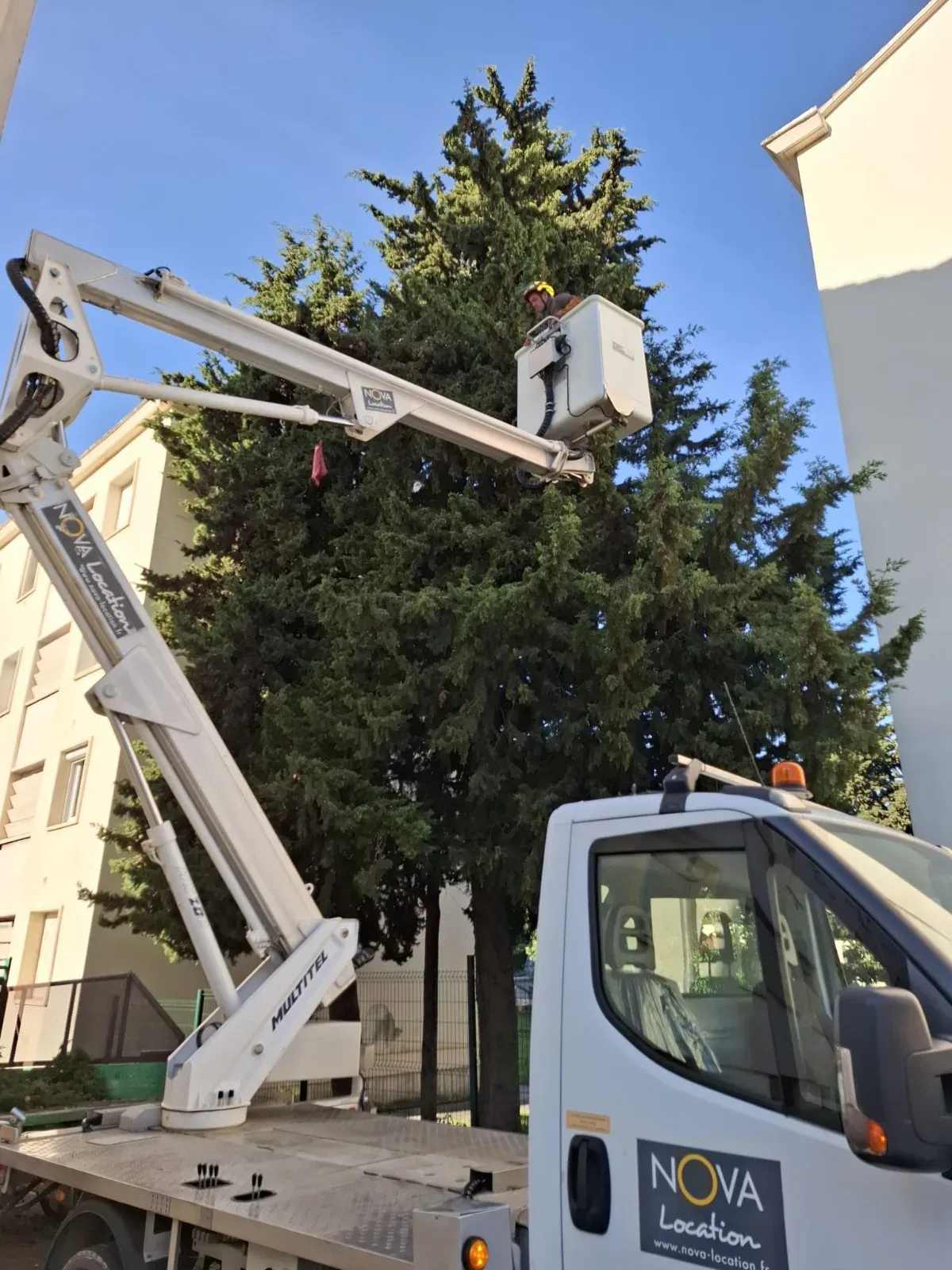 Élagage en accès difficile, Montpellier